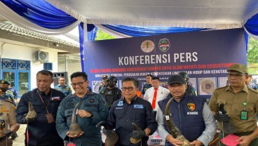 Pedagang Ilegal Cula Badak Senilai Rp43,4 Miliar di Palembang Berhasil Diamankan