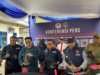 Pedagang Ilegal Cula Badak Senilai Rp43,4 Miliar di Palembang Berhasil Diamankan