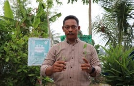 Berkat Smart Farming, Panen Cabai Poktan Juli Tani Naik Dua Kali Lipat