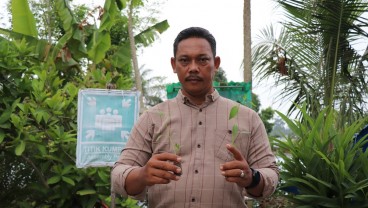 Berkat Smart Farming, Panen Cabai Poktan Juli Tani Naik Dua Kali Lipat