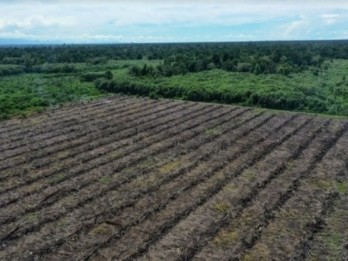 Sah! Sumbar Punya Perda Tentang Perhutanan Sosial untuk Dorong Ekonomi Hijau