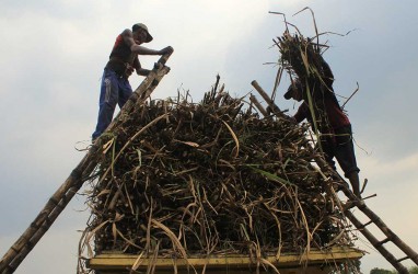 Tingkatkan Kesejahteraan Petani Tebu, Dinas Koperasi dan UKM Sumbar Beri Pelatihan