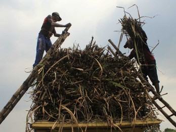 Tingkatkan Kesejahteraan Petani Tebu, Dinas Koperasi dan UKM Sumbar Beri Pelatihan