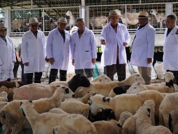 OJK Jabar Dorong Pembiayaan untuk Peternakan Domba