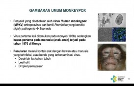 Fakta-fakta Penting Mpox Alias Cacar Monyet, Bisakah Jadi Pandemi?