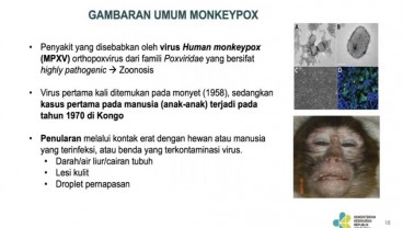 Fakta-fakta Penting Mpox Alias Cacar Monyet, Bisakah Jadi Pandemi?