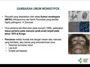 Fakta-fakta Penting Mpox Alias Cacar Monyet, Bisakah Jadi Pandemi?