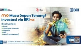 Mau Mulai Investasi? Saatnya Coba Buka RDN di BRImo Saja!