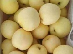 8 Manfaat Sehat Konsumsi Buah Pir, Bisa untuk Diet dan Cegah Kanker