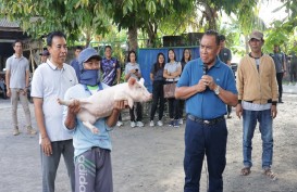 Jembrana Sebar Hibah Pakan Hingga Uang Buat Petani dan Peternak