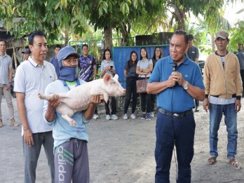 Jembrana Sebar Hibah Pakan Hingga Uang Buat Petani dan Peternak