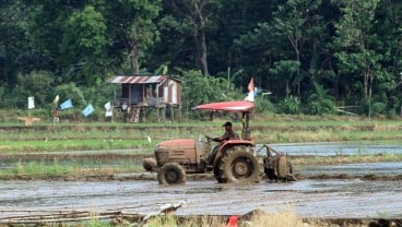 Belajar Mengendalikan Inflasi dari Tanah Datar