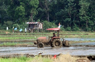 Belajar Mengendalikan Inflasi dari Tanah Datar