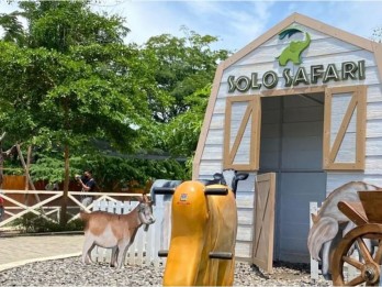 Terungkap Penyebab Dua Gajah Solo Safari Mati, Ternyata karena Ini