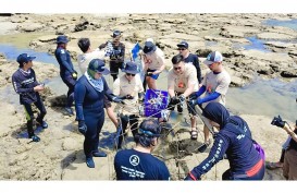 PNM Peduli Tanam Ribuan Pohon Mangrove dan Terumbu Karang di Kalimantan