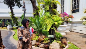 Siap Mundur dari Mensos, Jokowi Malah Panggil Risma ke Istana