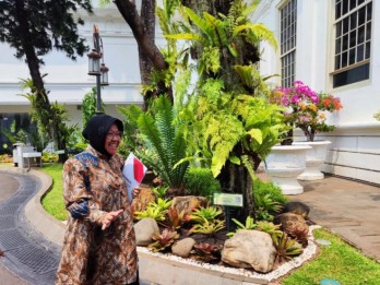 Siap Mundur dari Mensos, Jokowi Malah Panggil Risma ke Istana