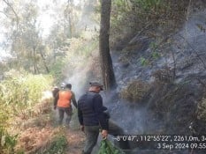 Titik Api pada Kebakaran di Bromo Semeru Mulai Padam