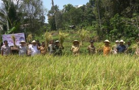 Ada Ancaman Kekeringan, Program Pompanisasi di Sumedang Dikebut