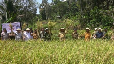 Ada Ancaman Kekeringan, Program Pompanisasi di Sumedang Dikebut