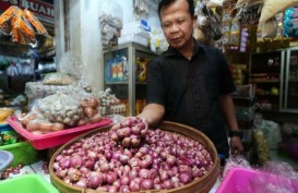 Harga Bawang Merah Merosot Selama 3 Bulan, Ini Harapan Petani