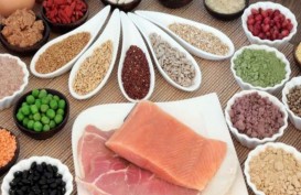 Tips Memenuhi Kecukupan Protein untuk Lansia