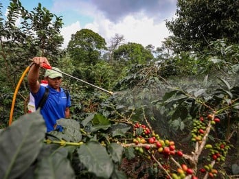 Distribusi Pupuk Subsidi di Garut Tidak Optimal, Banyak Dijual di Atas HET