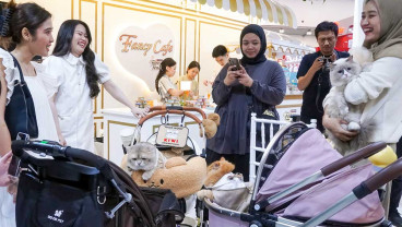 Tips Tingkatkan Emotional Bonding dengan Anabul di IIPE 2024