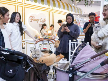 Tips Tingkatkan Emotional Bonding dengan Anabul di IIPE 2024