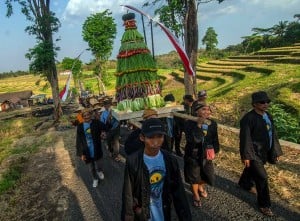 Tradisi Wiwit Panen Padi di Boyolali