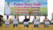 Pj Gubernur Kaltim Panen Padi di Lahan Eks Tambang