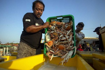 Kontribusi sektor kelautan terhadap PDB nasional saat ini baru mencapai 7,9%