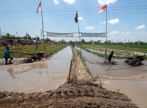 Sejumlah Petani di Klaten Ikuti Lomba Balap Traktor