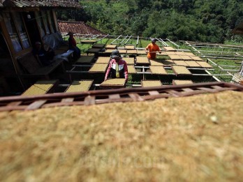 RPMK Produk Tembakau, Pemerintah Diminta Pertimbangkan Nasib Petani