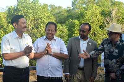 Paus Fransiskus Berkati Lima Bibit Mangrove