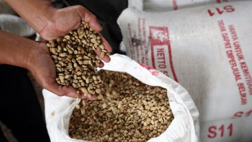 Jelajah Investasi Jabar: Permintaan Ekspor Meningkat, Ekosistem Bisnis Kopi di Ciwidey Terus Menggeliat