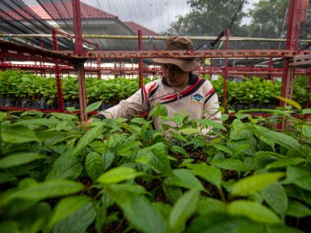 Kisi-Kisi Usaha Sosial yang Dilirik Investor: Bukan Sekadar Kejar-kejaran Profit