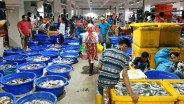 PT Perikanan Indonesia Serap Ribuan Ton Ikan hingga Agustus 2024