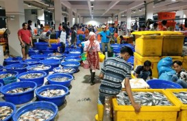 PT Perikanan Indonesia Serap Ribuan Ton Ikan hingga Agustus 2024