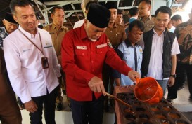 Program Perhutanan Sosial Dinilai Berhasil Entaskan Kemiskinan Masyarakat di Kawasan Hutan