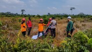 Berhasil Antisipasi Kebakaran Saat Musim Kemarau, PT KTU Raih Prestasi Zero Karhutla