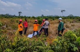 Berhasil Antisipasi Kebakaran Saat Musim Kemarau, PT KTU Raih Prestasi Zero Karhutla