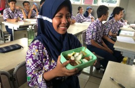 Respons DPR Soal Wacana Susu Ikan di Menu Makan Siang Bergizi Gratis Prabowo