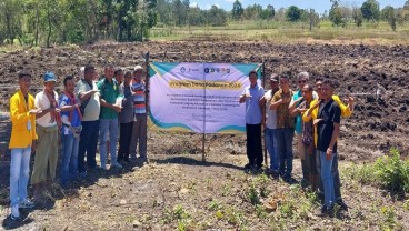 Varietas Jagung Raja R7 Mampu Hasilkan 12 Ton/Hektare