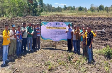 Varietas Jagung Raja R7 Mampu Hasilkan 12 Ton/Hektare