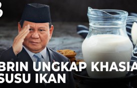 Apa Kelebihan Susu Ikan Dibandingkan dengan Susu Sapi?