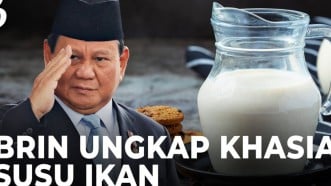 Apa Kelebihan Susu Ikan Dibandingkan dengan Susu Sapi? 