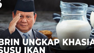 Apa Kelebihan Susu Ikan Dibandingkan dengan Susu Sapi?