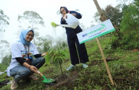 Berbagai Program BRI untuk Mendukung Net Zero Emission di 2050