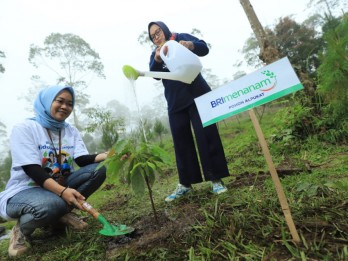 Berbagai Program BRI untuk Mendukung Net Zero Emission di 2050